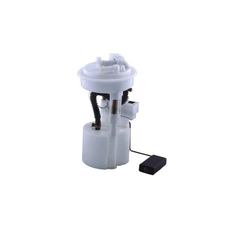 Fuel Pump Module for PEUGEOT