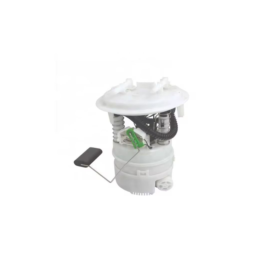 Fuel Pump Module 1607402180 for PEUGEOT