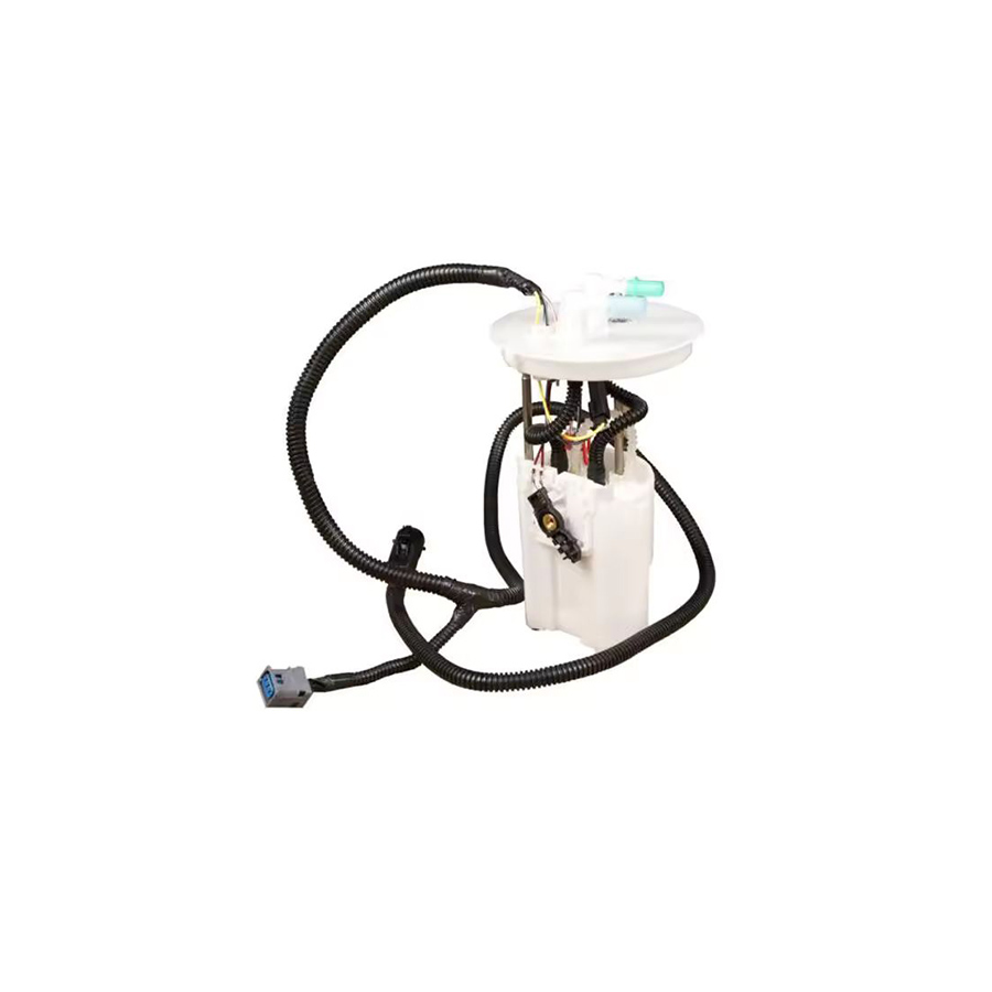 Fuel Pump Module E2290M P76005M FG0970 for Ford