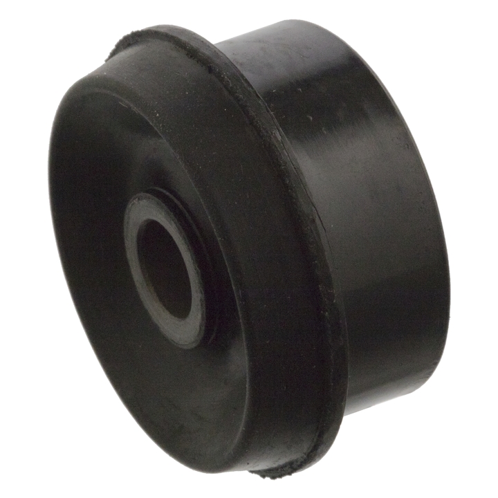 Control Arm Trailing Bushing 513147